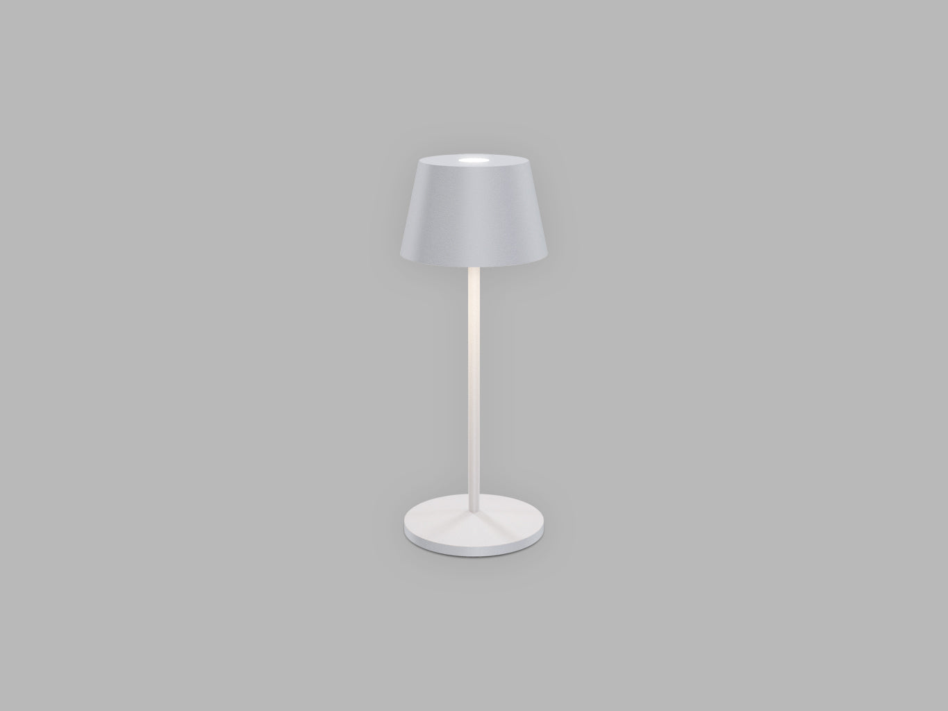 VerlichtWonen Roxy Mini van LED2 extra lange levensduur