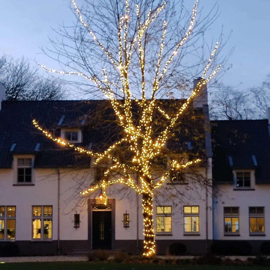 Kerstverlichting - warm licht met blauwe twinkel - vanaf 10 meter