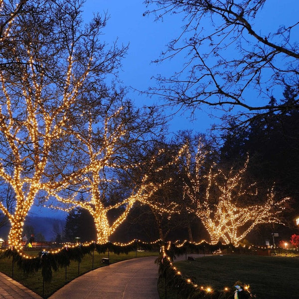 Kerstverlichting - warm licht met twinkel - vanaf 10 meter