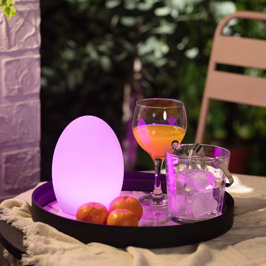 VerlichtWonen Tafellamp RGB Buiten Oplaadbaar Lichtenhagen